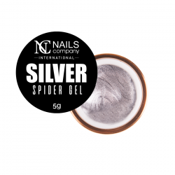 Spider Gel Silver Nails...